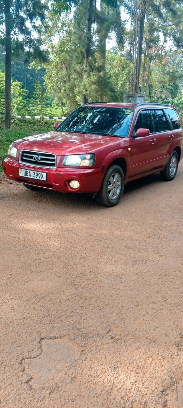 used subaru