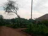 A picture of Matugga Migadde commercial plot