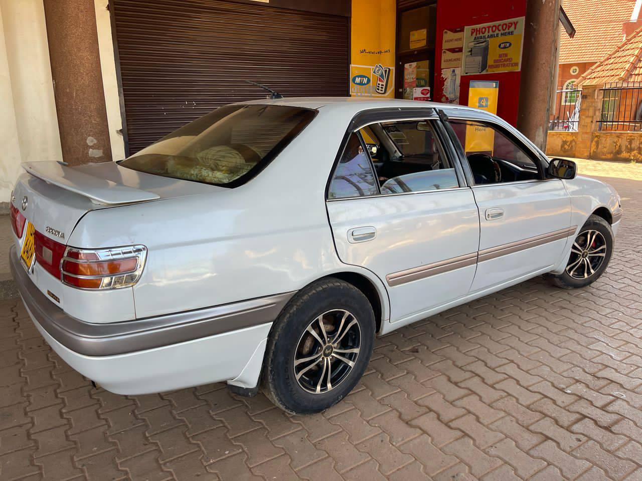 A picture of Premio