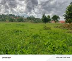 A picture of Plots for sale in Kira Bulindo ready titles at 75m