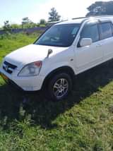 used honda crv