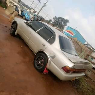 toyota kikumi