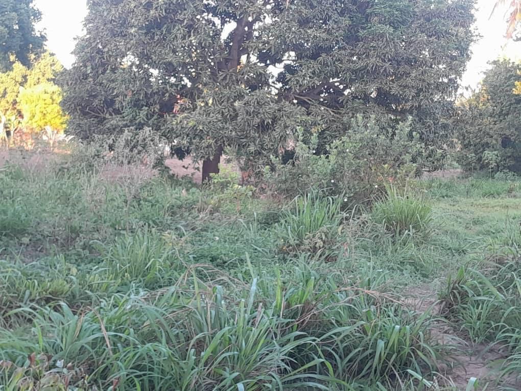 A picture of Petrol Station Plot for Sale