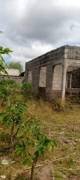 A picture of Boma