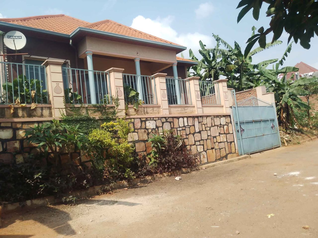 houses for rent