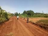 A picture of Wow wow in believable but indeed true 800k plots Newly