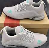 A picture of adidas