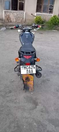 A picture of Nauza sinorai mayai cc 150
