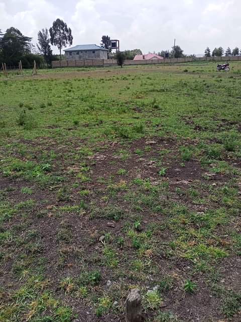plots kiserian