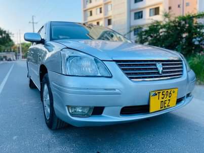 A picture of Premio new model