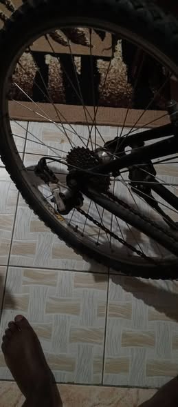 shimano