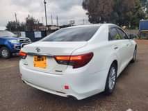 used toyota mark x