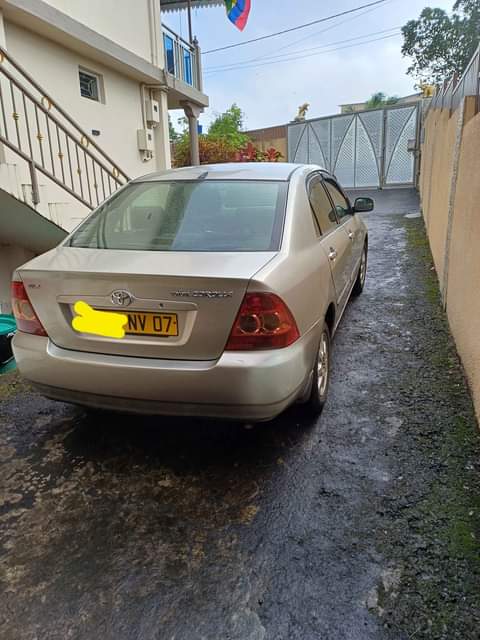 used toyota corolla