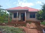 A picture of Buloba mityana house cheap but on quick sale