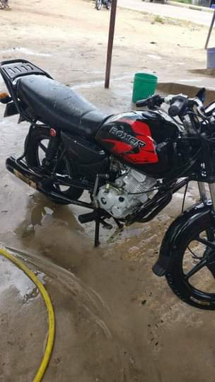 A picture of 2021 Boxer New