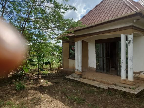 A picture of HOUSE PLOT FOR SALE IN NAMALIGA NAKIFUUMA