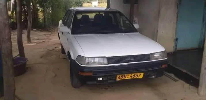 used toyota corolla