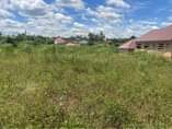 A picture of Plots at 25m KiwendA