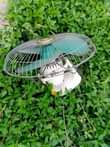 A picture of NAUZA FENI USED ITEMS 0786494436