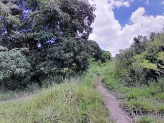 A picture of SHAMBA EKARI 10 LINAUZWA CHALINZE MJINI CHANG OMBE STREET