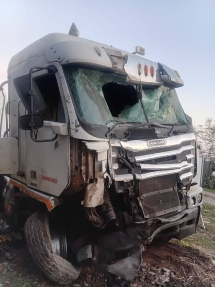 freightliner argosy