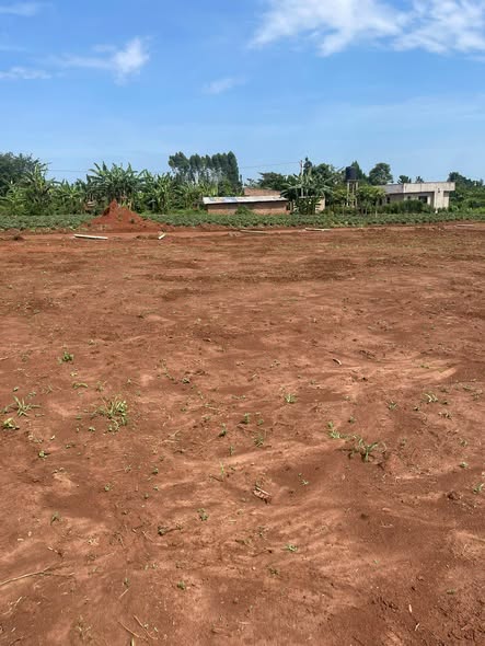 A picture of Plots for sale in Busiika Gaza 50Ft by 100Ft at