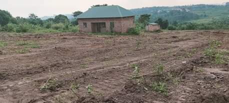 A picture of PLOTS FOR SALE LOCATED WAKISO NAMAYUMBA