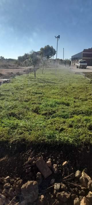 landscaping ssrvices