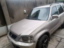 A picture of 