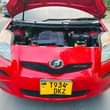 A picture of Vitz