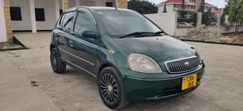 A picture of Vitz