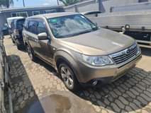 A picture of subaru forester gold
