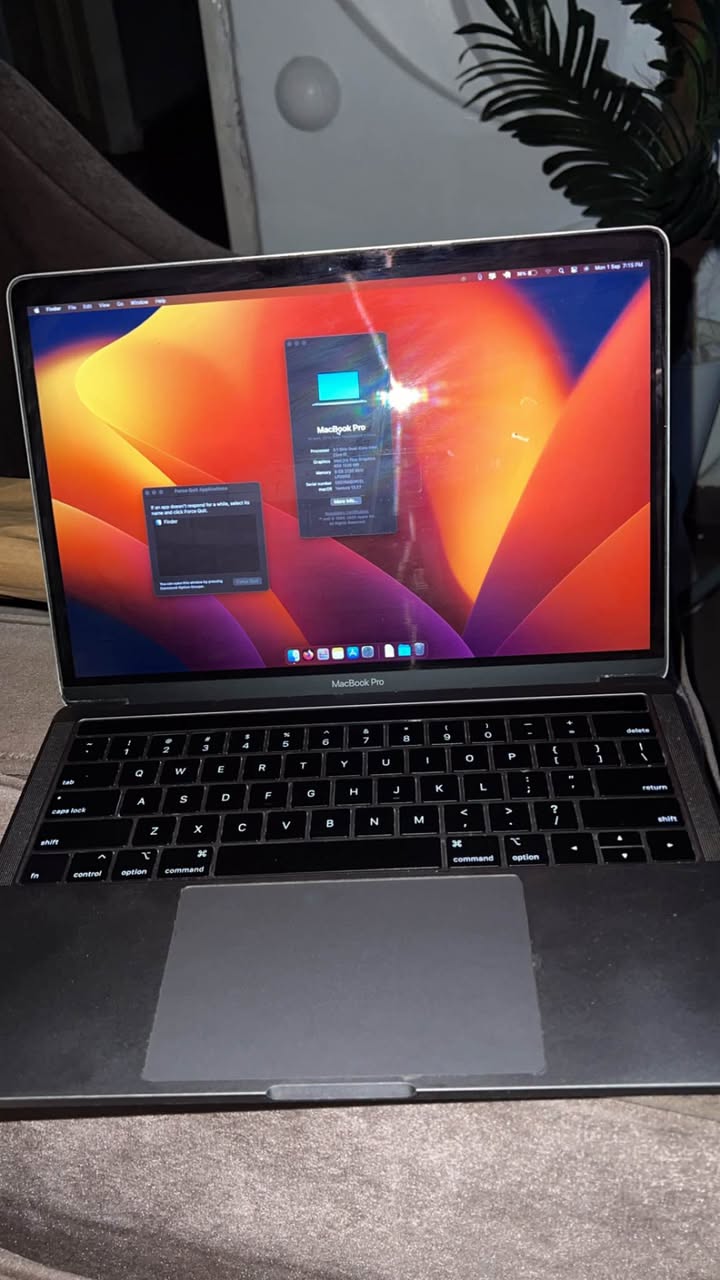 A picture of MACBOOK PRO 2017