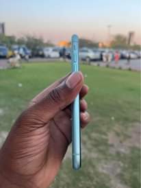 A picture of Iphone 11 plain