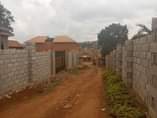 A picture of Kabuuma munyonyo uphill house on quick sale