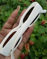 A picture of Shades