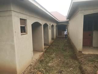 A picture of Rentals located at buwambo 6singleroom and 1doubleroom On sale 45m