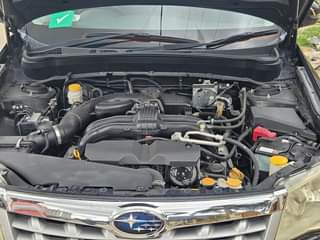 A picture of SUBARU FORESTER