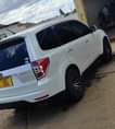 A picture of Subaru Forester