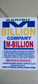 A picture of KARIBU M BILLION COMPANY
