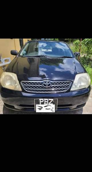 cars