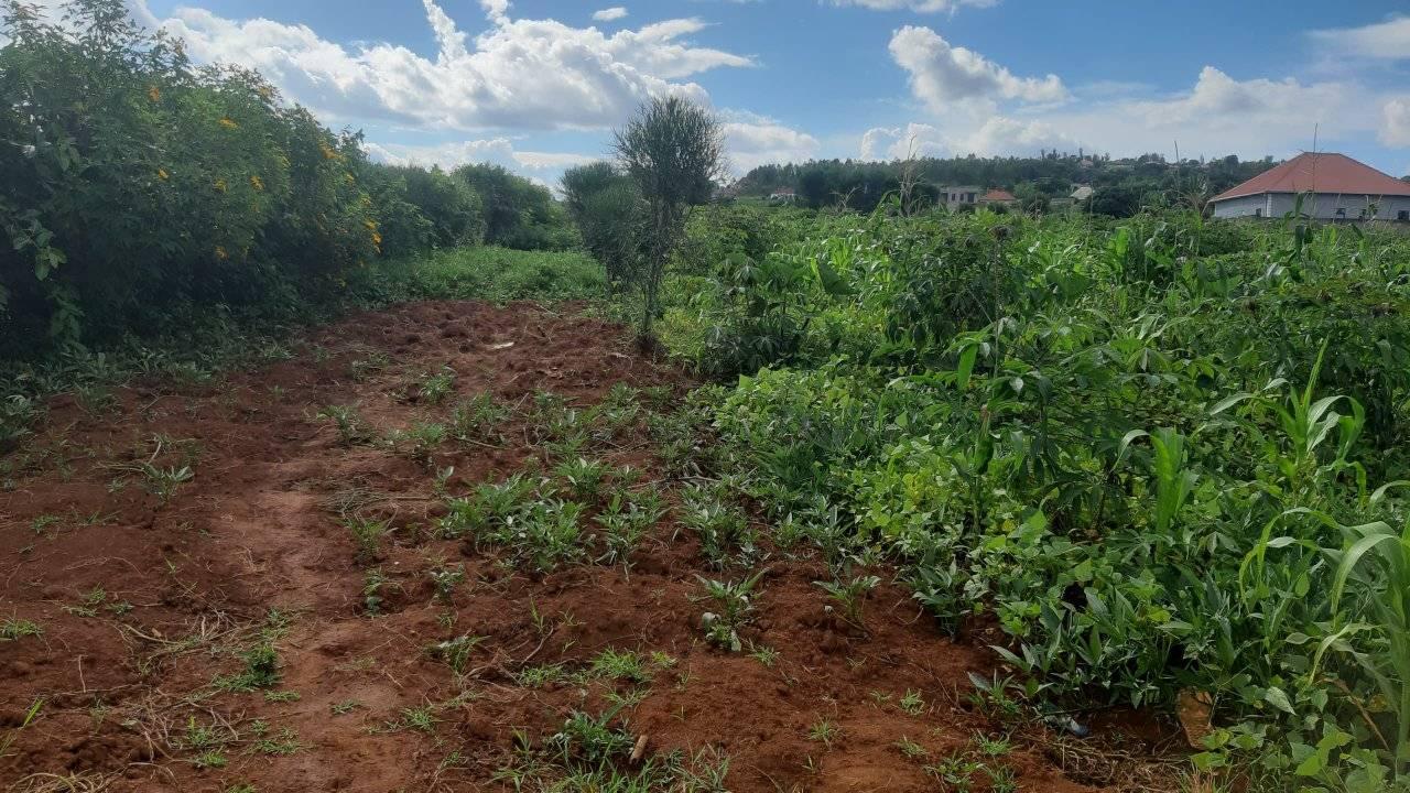land