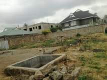 Nahashon K.
