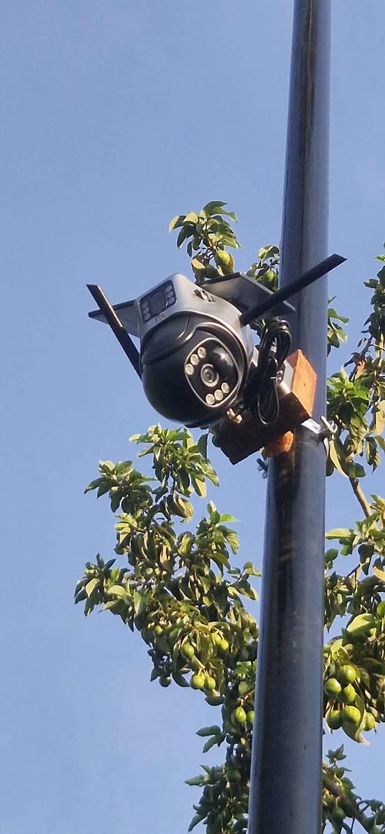 A picture of SOLAR CAMERAS