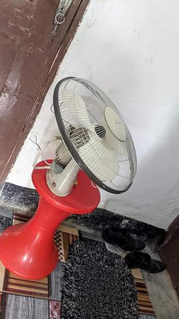 A picture of Evernal feni la juu