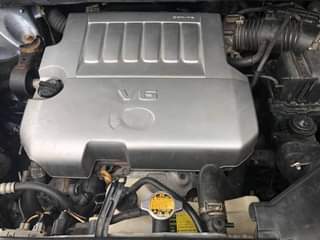 A picture of Registered Highlander 2009