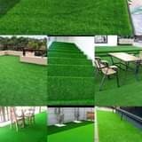 grass