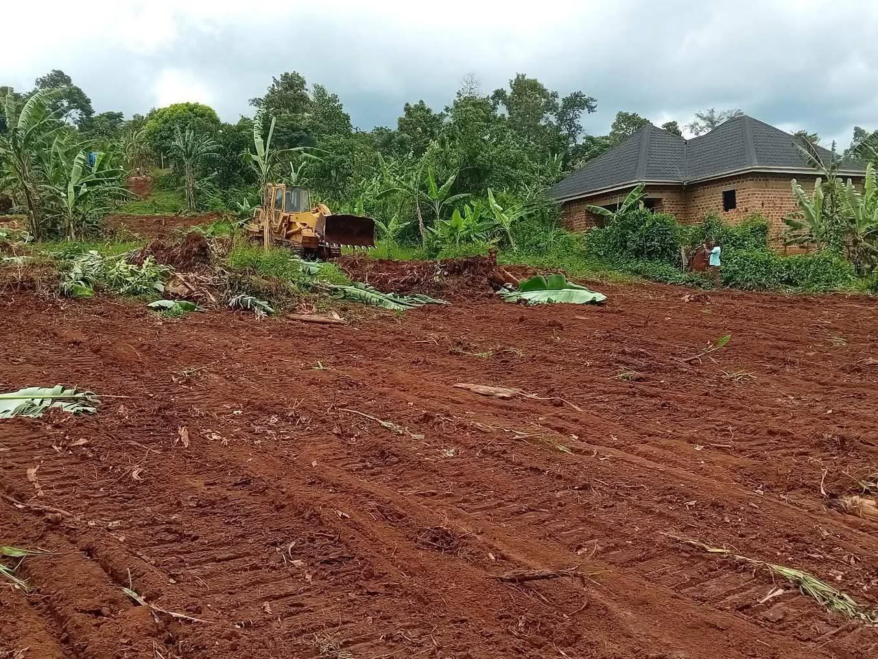 A picture of Affordable plots