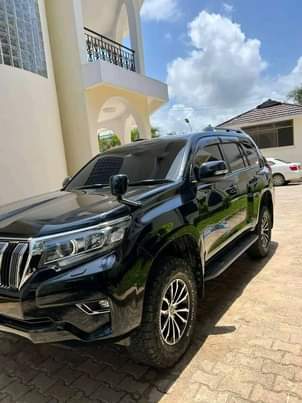 A picture of Prado 150