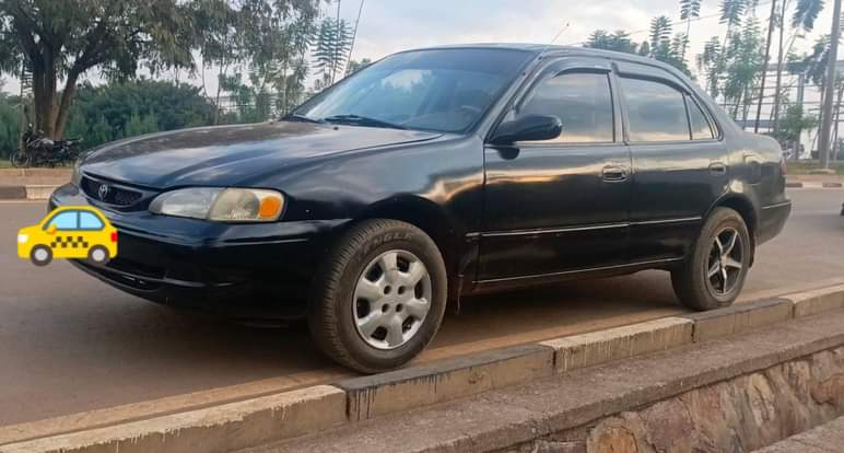 used toyota corolla